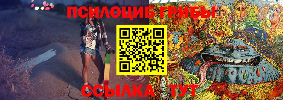 Нововоронеж  Галлюциногенные грибы Psilocybe  Галлюциногенные грибы GOLDEN TEACHER  Вход с VPN 
